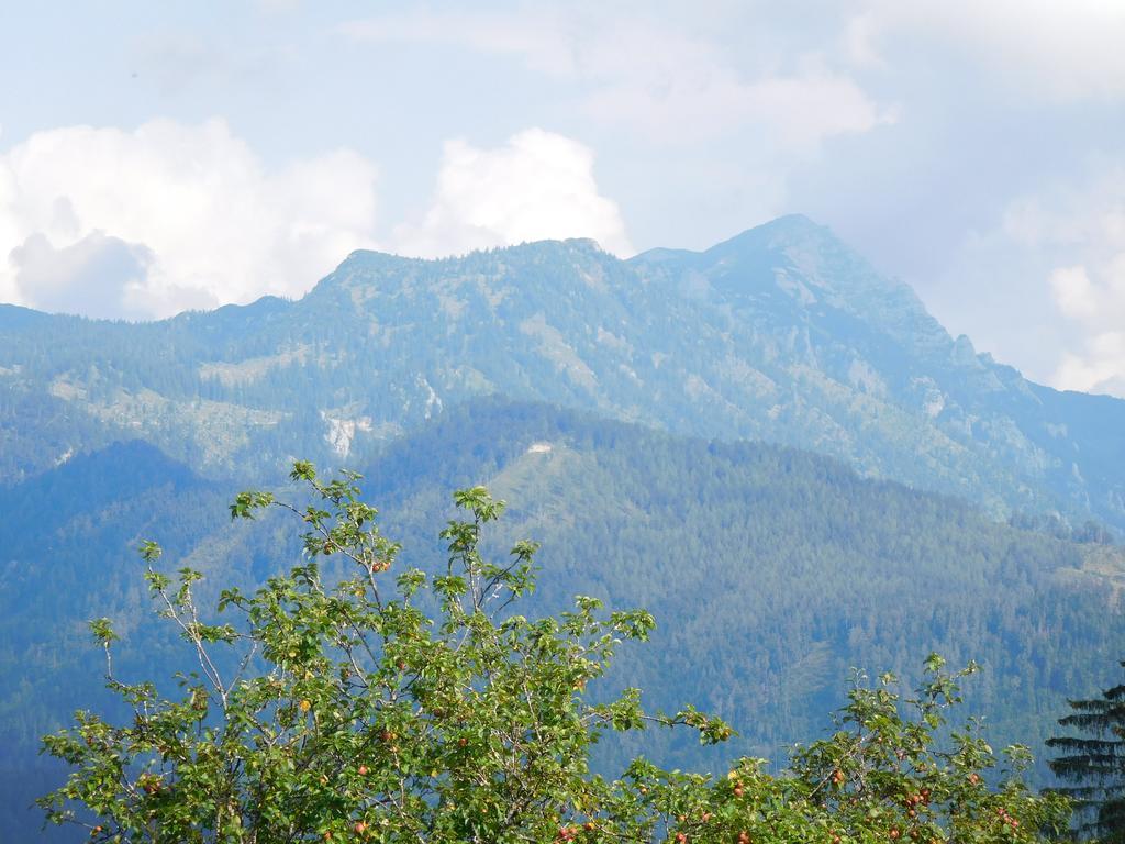 Urlaub Am Bauernhof Blamauer Koehr Гестлинг-на-Ибсе Экстерьер фото