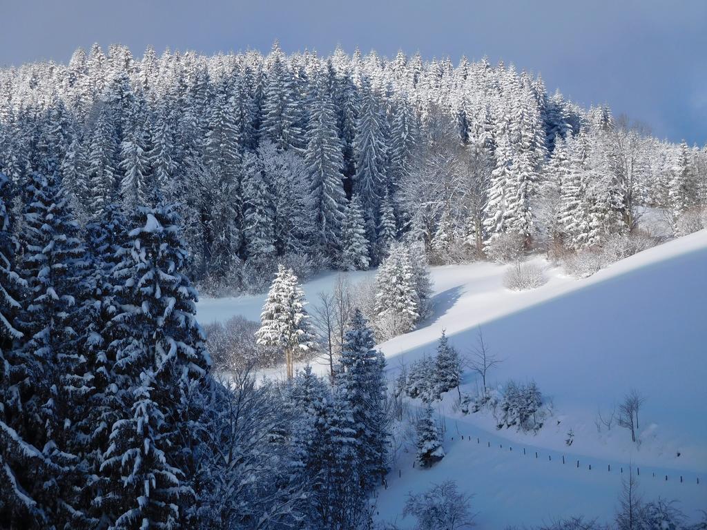 Urlaub Am Bauernhof Blamauer Koehr Гестлинг-на-Ибсе Экстерьер фото